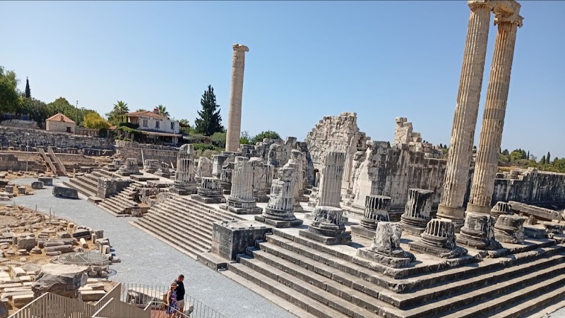 Aydın