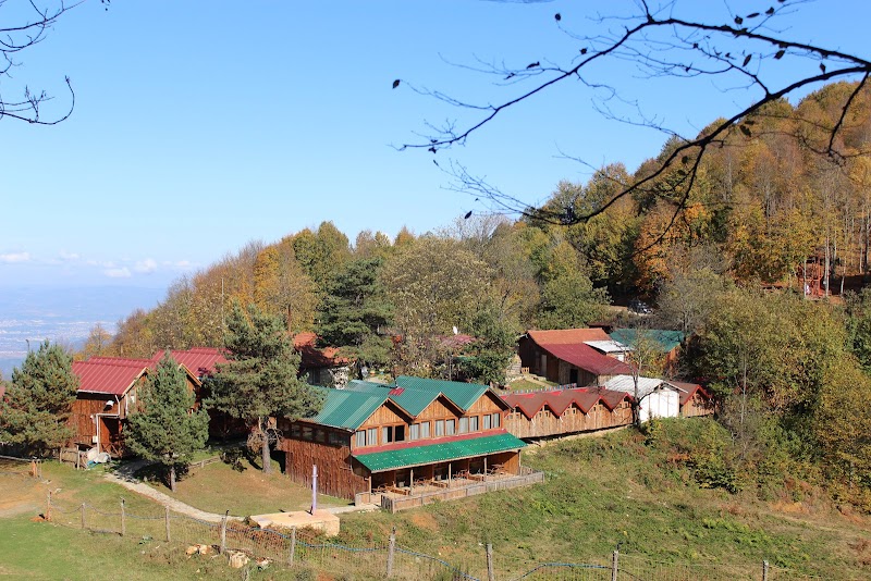 Kocaeli