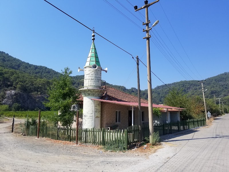 Ortaca