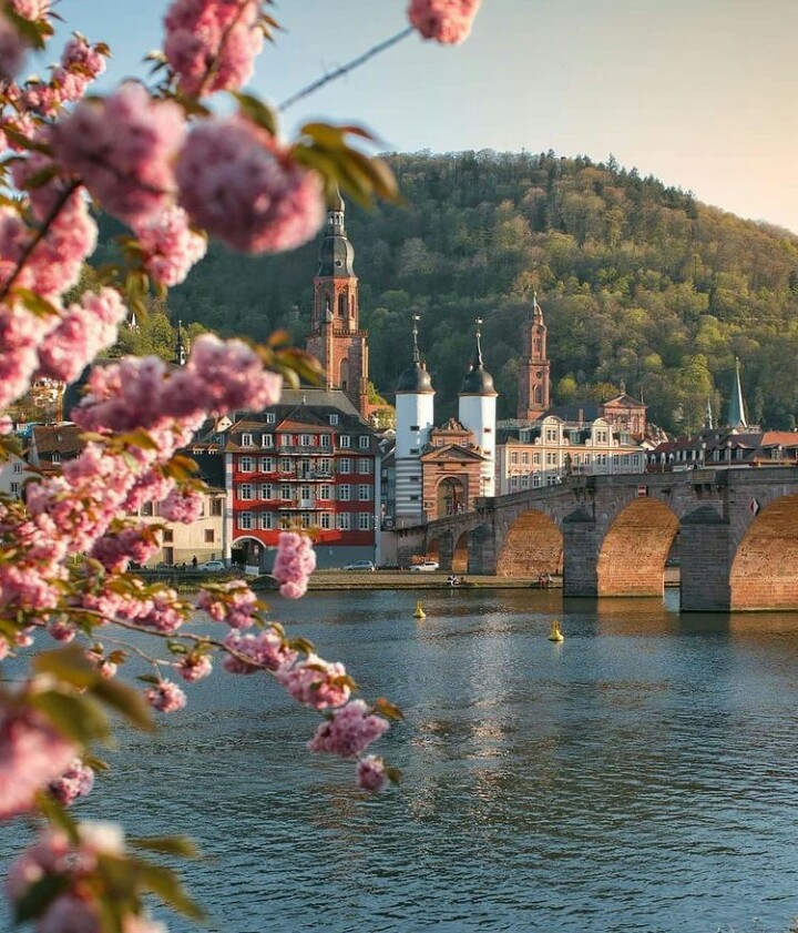 Heidelberg